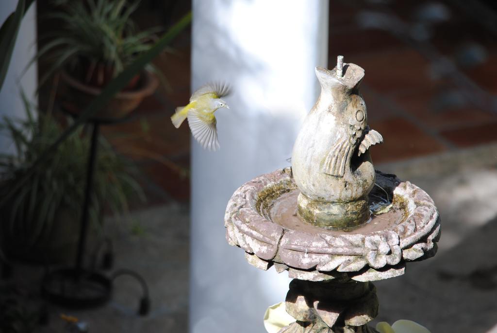 Hotel Jovel San Cristóbal de Las Casas エクステリア 写真
